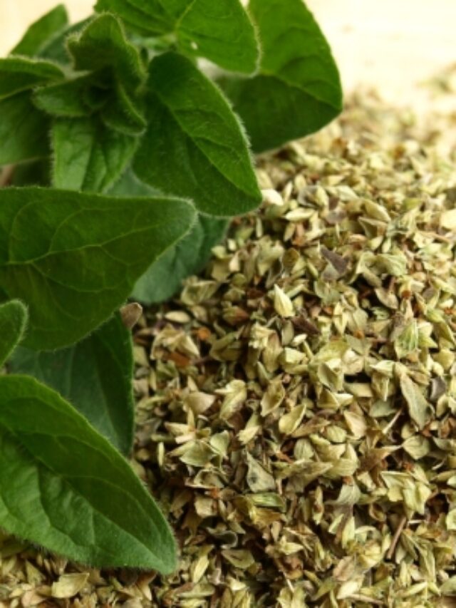 cropped-cha-oregano.jpg