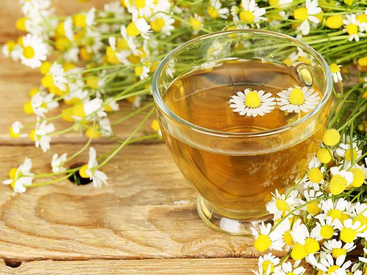 CHÁ DE CAMOMILA: Uma Solução Natural Para Combater A Ansiedade E O Estresse